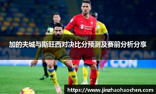 加的夫城与斯旺西对决比分预测及赛前分析分享